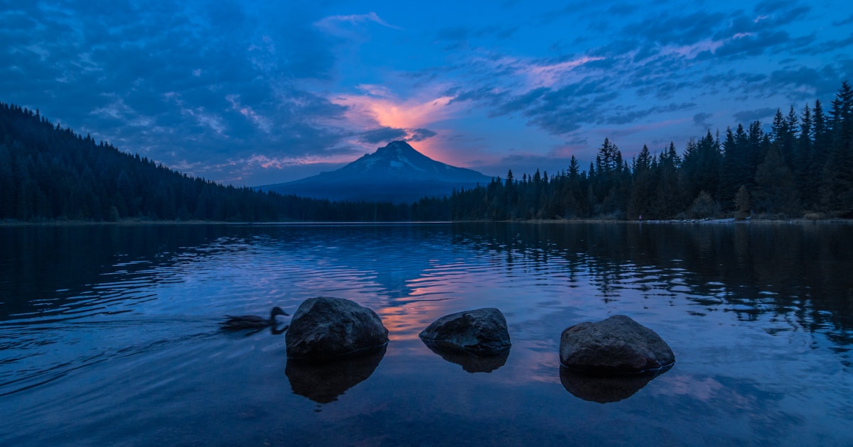 Temperature Converter: How to Convert Celsius to Fahrenheit, Kelvin and Why the World Uses Different Scales